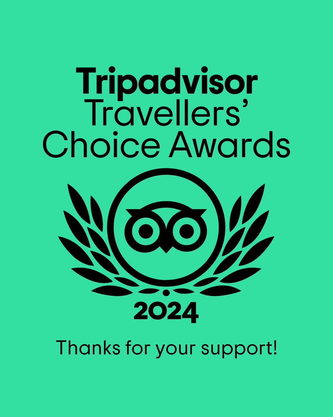 Trip Advisor Award